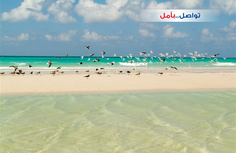 تواصل...بأمل