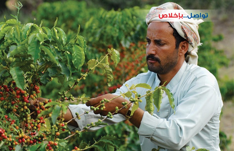 تواصل...بإخلاص